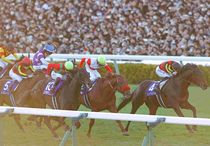 競馬パネル 0000000033103_if19RX7.jpg