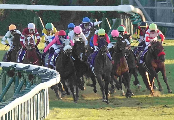 Ｒ7・有馬記念レースパネル　ミュージアムマイル②