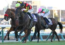 1977年有馬記念写真パネル 1977年有馬記念写真パネル