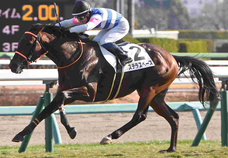 Ｒ8・3歳1勝クラス　中山（1/5）7Rレースパネル　ステラスペース