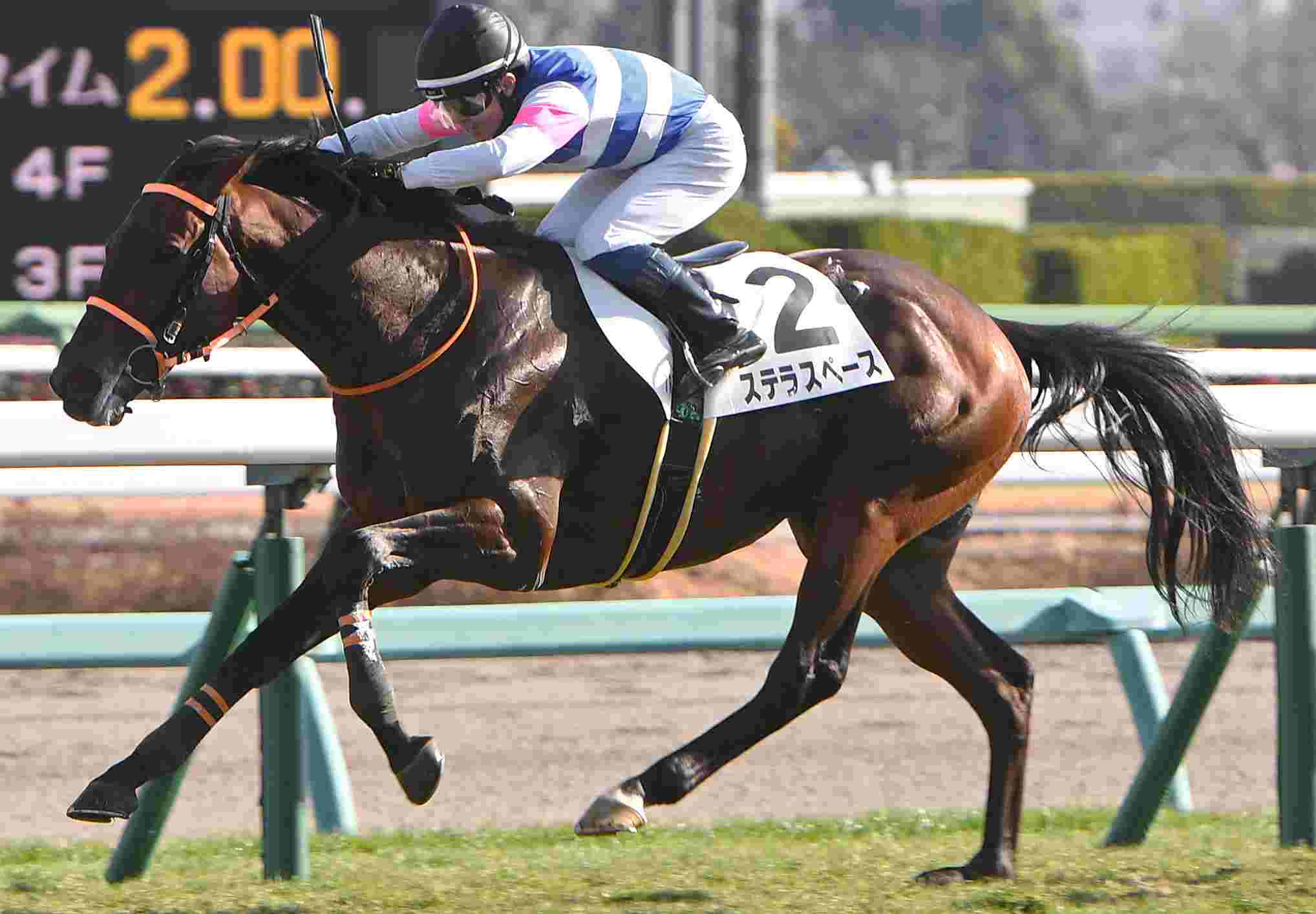 Ｒ8・3歳1勝クラス　中山（1/5）7Rレースパネル　ステラスペース