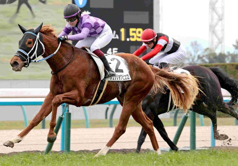 Ｒ8・3歳1勝クラス　京都（1/4）6Rレースパネル　ジュウリョクピエロ