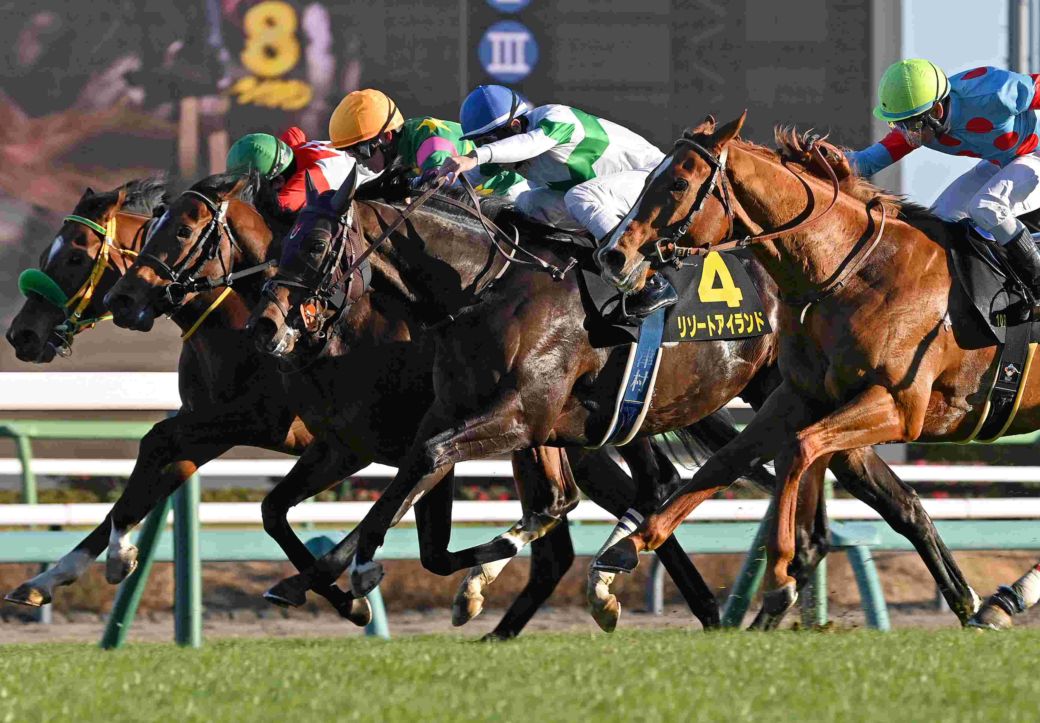 Ｒ8・ジュニアCレースパネル　リゾートアイランド