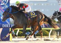 Ｒ7・東京大賞典レースパネル　ディクテオン