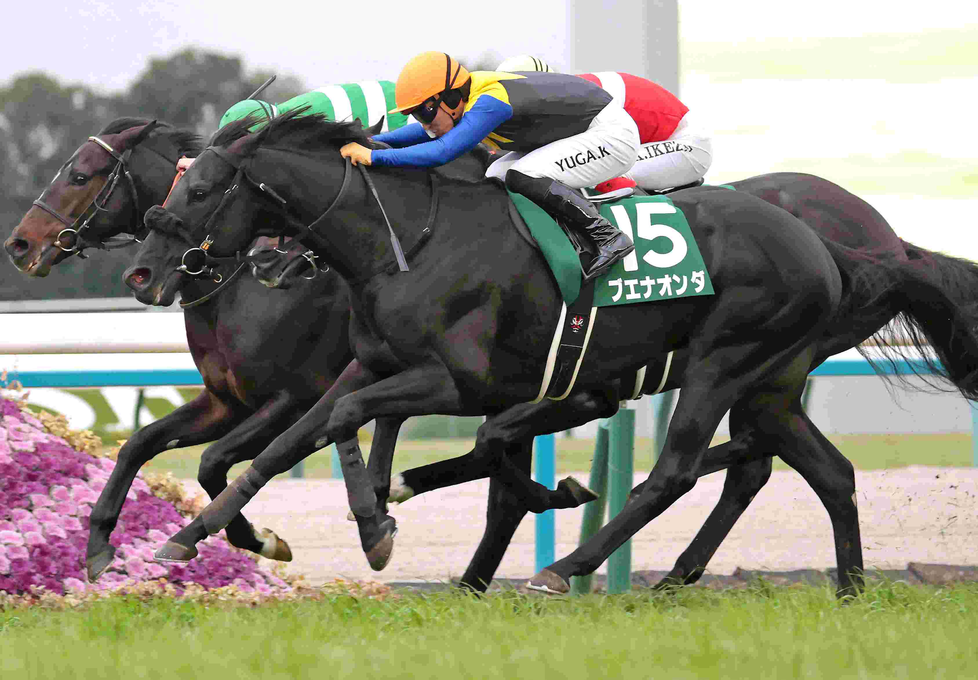 Ｒ8・京都金杯レースパネル　ブエナオンダ