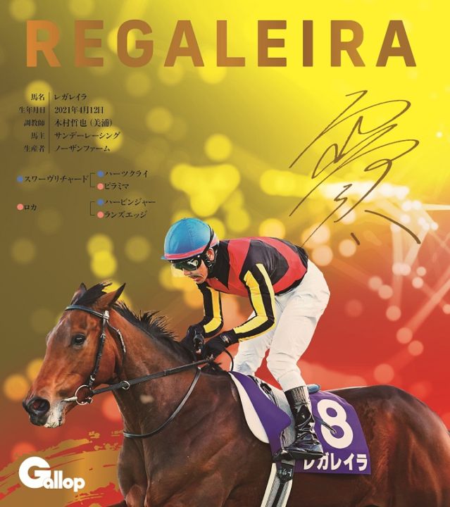 名馬全史色紙コレクション第5弾 （ランダム1枚） | サンスポe-shop