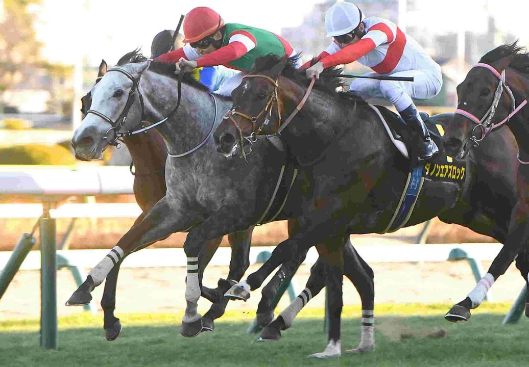 Ｒ8・ニューイヤーSレースパネル　カピリナ