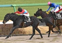 Ｒ8・ポルックスSレースパネル　カゼノランナー