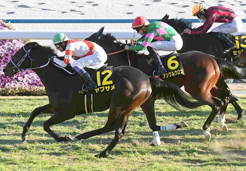 Ｒ8・淀短距離Sレースパネル　ヤブサメ