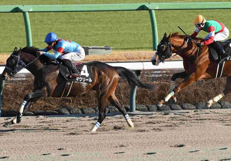 Ｒ8・黒竹賞レースパネル　マクリール