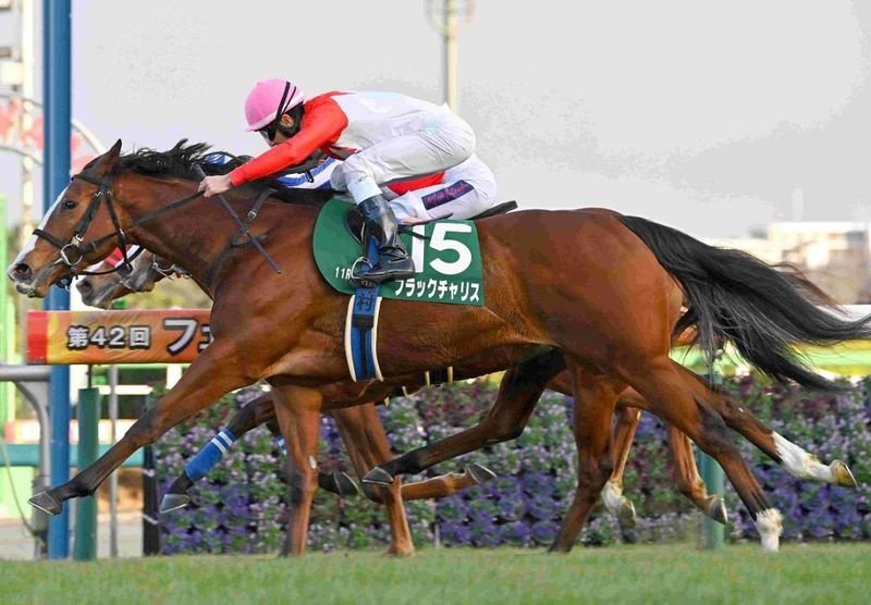 Ｒ8・フェアリーSレースパネル　ブラックチャリス