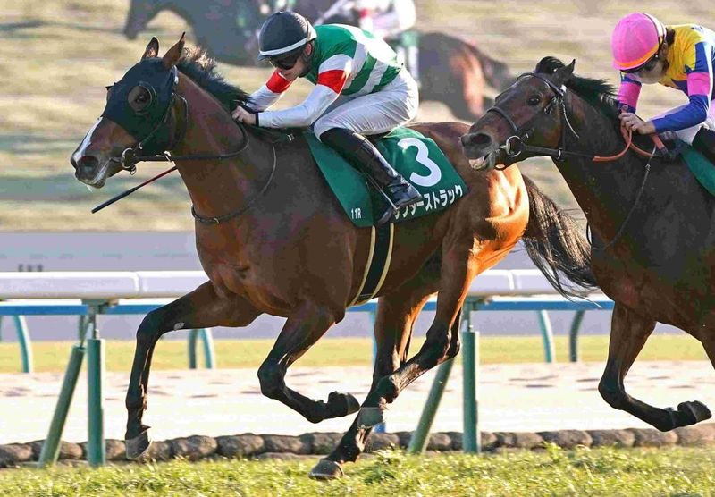 Ｒ8・シンザン記念レースパネル　サンダーストラック