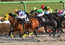 Ｒ8・ジャニュアリーSレースパネル　モンドプリューム