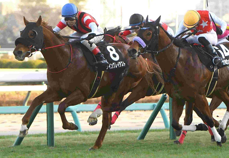 Ｒ8・カーバンクルSレースパネル　ウイングレイテスト