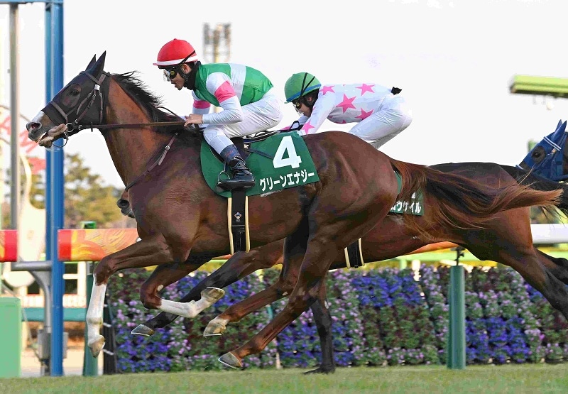 Ｒ8・京成杯レースパネル　グリーンエナジー