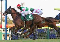 Ｒ8・京成杯レースパネル　グリーンエナジー