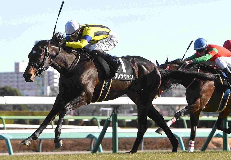 Ｒ8・若竹賞レースパネル　ブレナヴォン