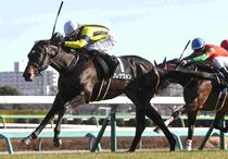 Ｒ8・若竹賞レースパネル　ブレナヴォン