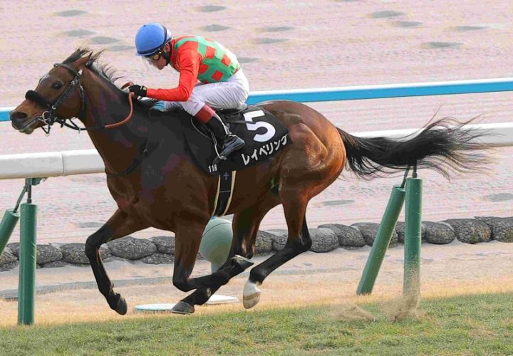 Ｒ8・睦月Sレースパネル　レイベリング