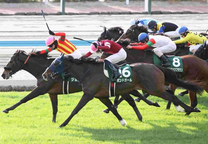 Ｒ8・小倉牝馬Sレースパネル　ジョスラン