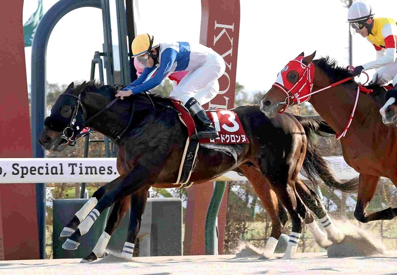 Ｒ8・プロキオンSレースパネル　ロードクロンヌ