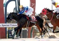 Ｒ8・プロキオンSレースパネル　ロードクロンヌ