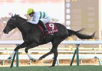 Ｒ8・アメリカジョッキークラブCレースパネル　ショウヘイ