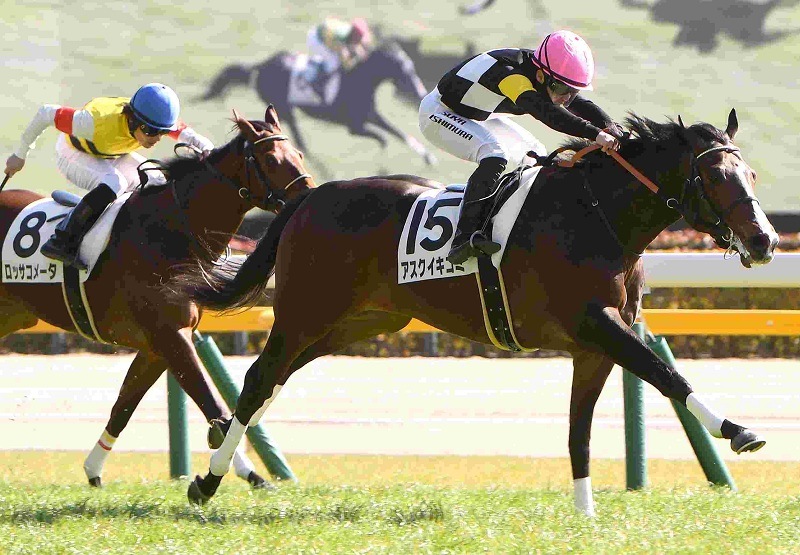 Ｒ8・メイクデビュー東京（2/1)5Rレースパネル　アスクイキゴミ