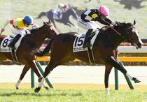 Ｒ8・メイクデビュー東京（2/1)5Rレースパネル　アスクイキゴミ