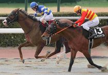 Ｒ8・門司Sレースパネル　コトホドサヨウニ