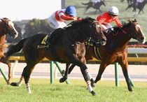 競馬,レース写真パネル | サンスポe-shop