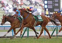 Ｒ8・シルクロードSレースパネル　フィオライア