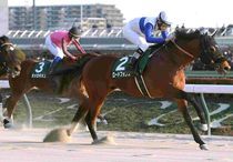 Ｒ8・根岸Sレースパネル　ロードフォンス