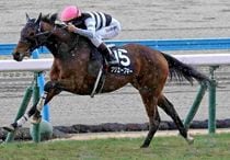 Ｒ8・かささぎ賞レースパネル　クリエープキー