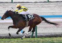 Ｒ8・小倉日経賞レースパネル　レーゼドラマ