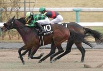 Ｒ8・大和Sレースパネル　ポッドベイダー