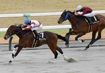 Ｒ8・アルデバランSレースパネル　ゼットリアン