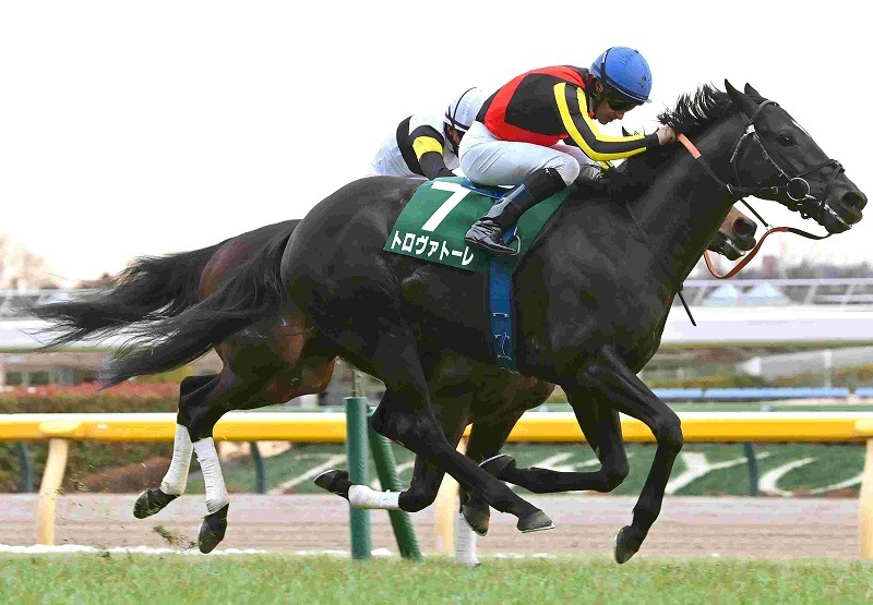 競馬パネル 競馬パネル 競馬パネル 競馬ブックネットSHOP / カラーパネル