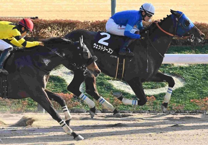 Ｒ8・バレンタインSレースパネル　ウェットシーズン