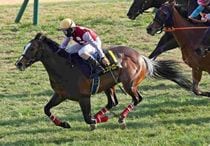 Ｒ8・洛陽Sレースパネル　スズハローム