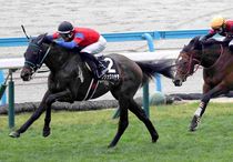 Ｒ8・あすなろ賞レースパネル　ブラックハヤテ