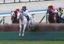 Ｒ8・小倉ジャンプSレースパネル　サンデイビス