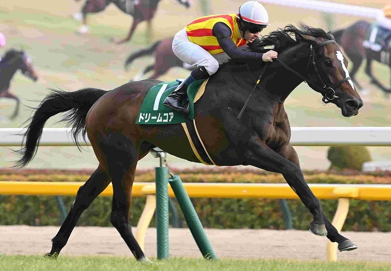 Ｒ8・クイーンCレースパネル　ドリームコア