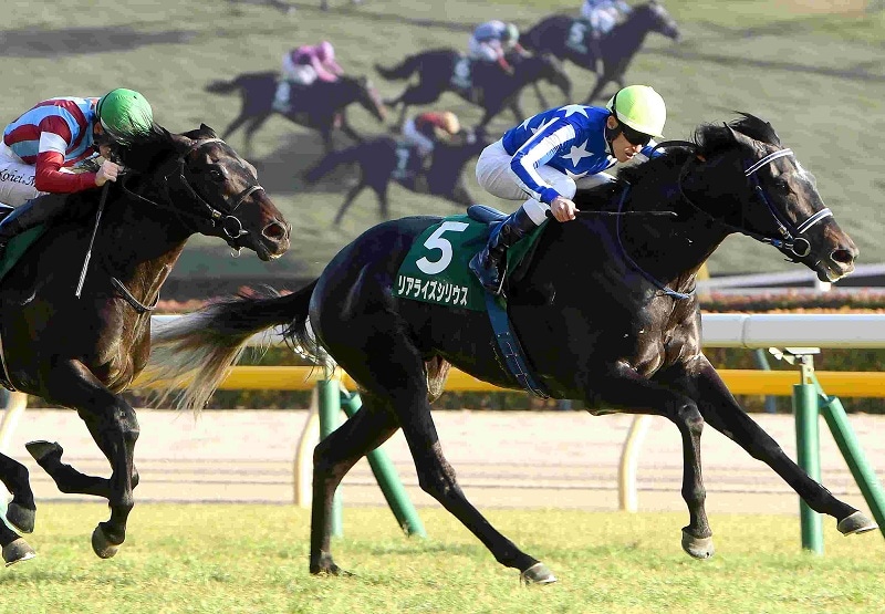 Ｒ8・共同通信杯レースパネル　リアライズシリウス