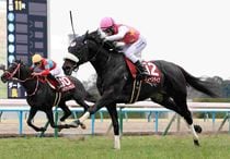 Ｒ8・京都記念レースパネル　ジューンテイク