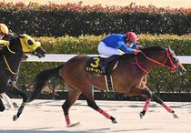 Ｒ8・ヒヤシンスSレースパネル　ラッキーキッド