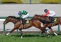 競馬,レース写真パネル | サンスポe-shop