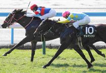 Ｒ8・あざみ賞レースパネル　アンジュプロミス