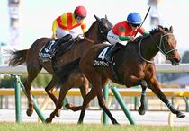 競馬,レース写真パネル | サンスポe-shop