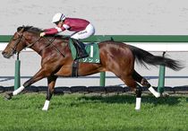 Ｒ8・阪急杯レースパネル　ソンシ